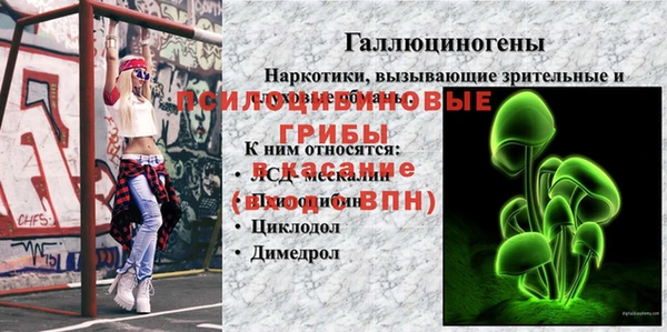 ГАЛЛЮЦИНОГЕННЫЕ ГРИБЫ Медногорск
