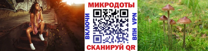 Псилоцибиновые грибы ЛСД  Купить закладки  Туринск 